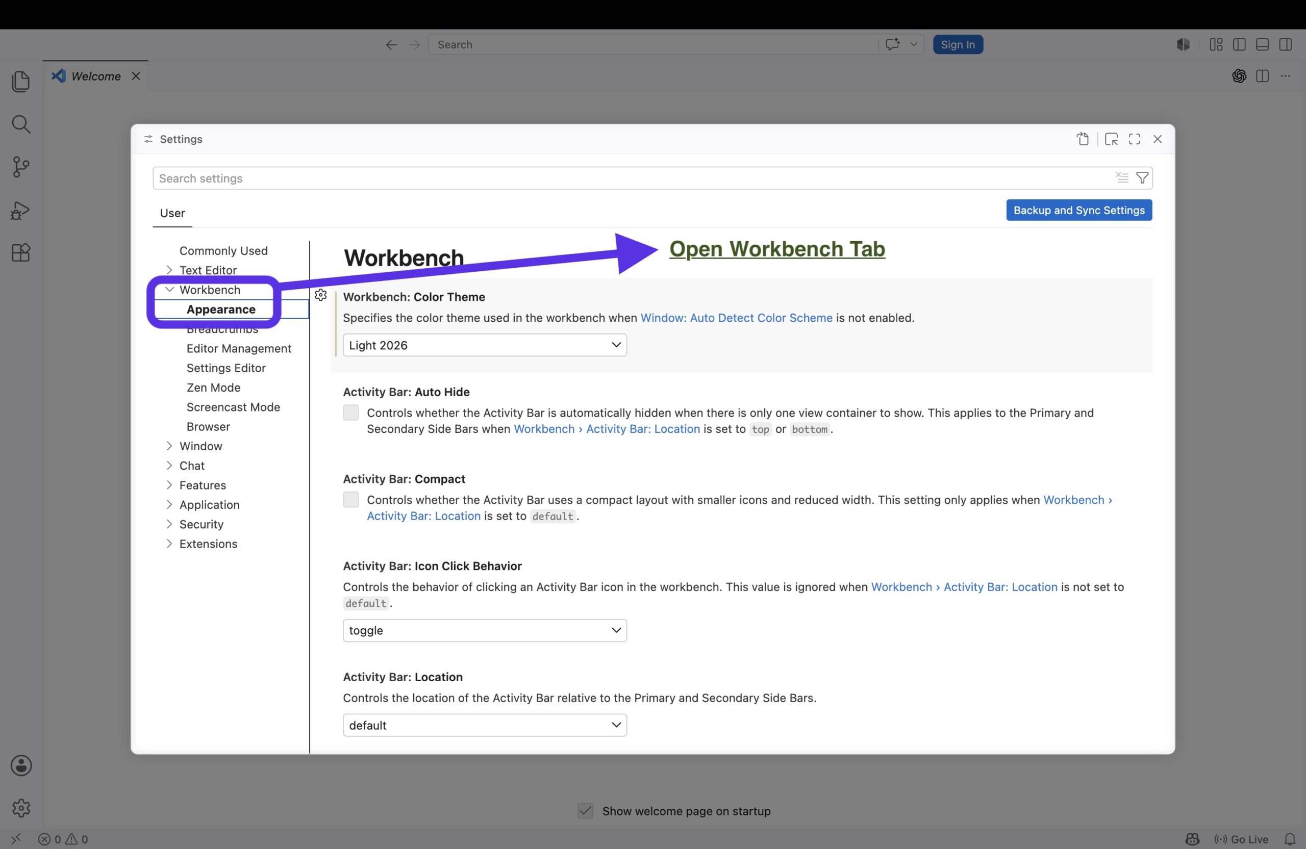 Workbench appearance settings in VS Code