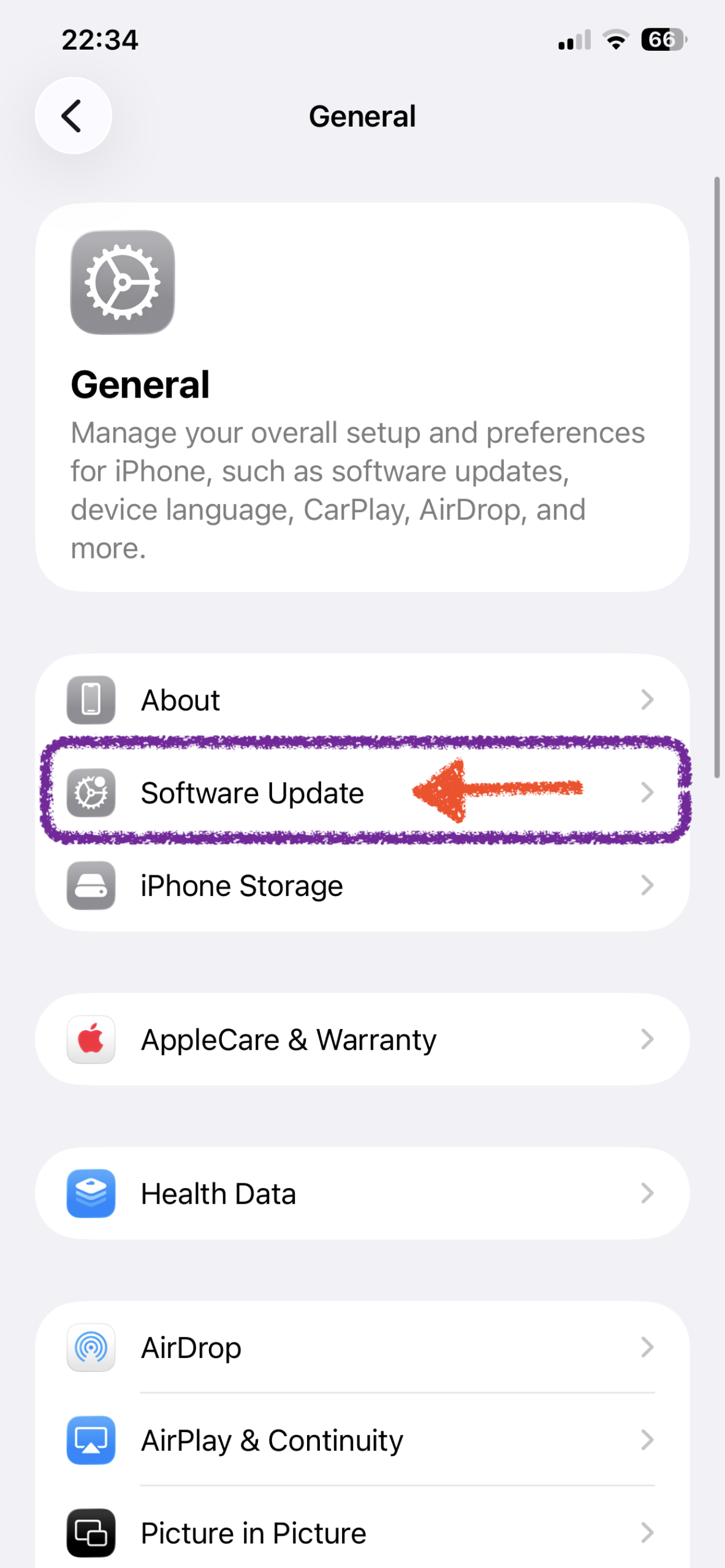 Tap Software Update in iPhone General settings