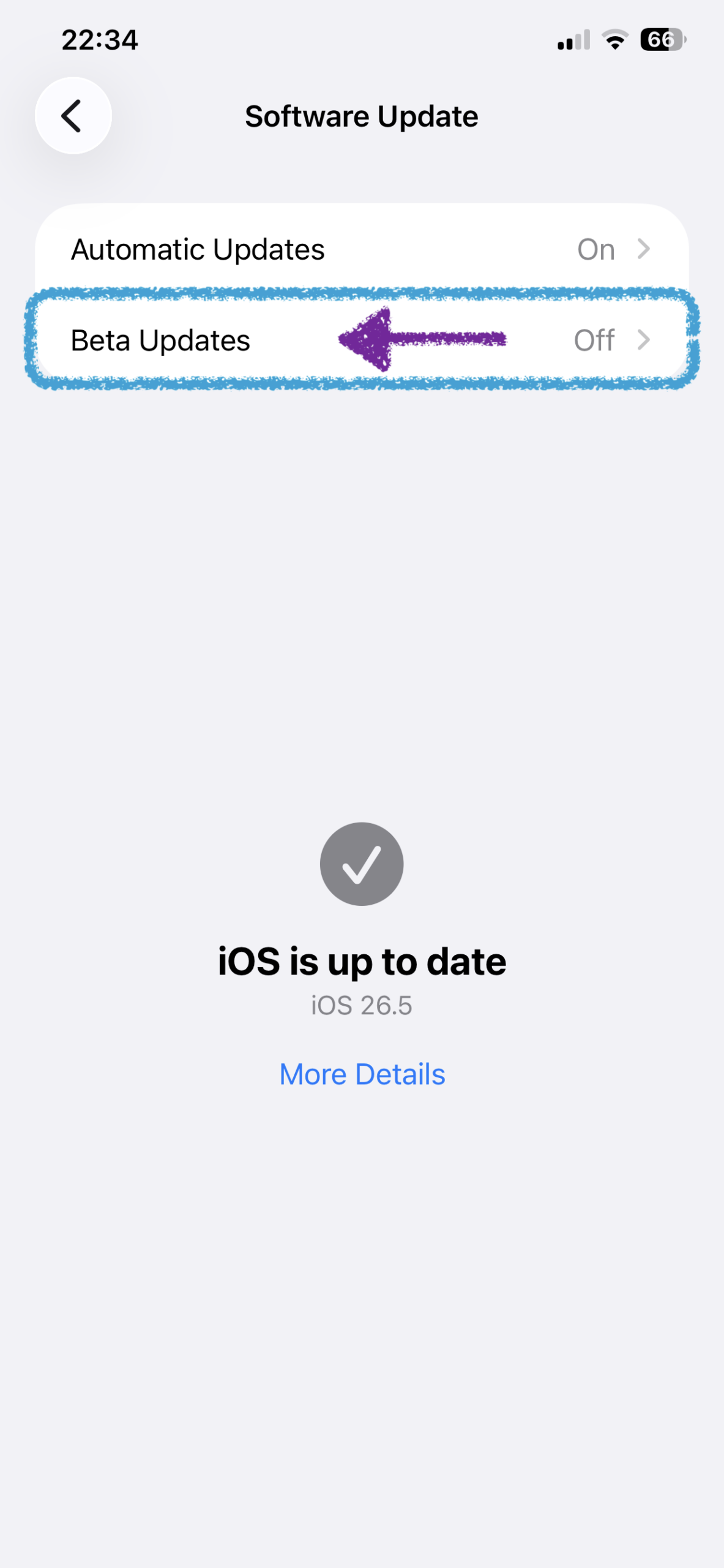 Open Beta Updates on iPhone Software Update page