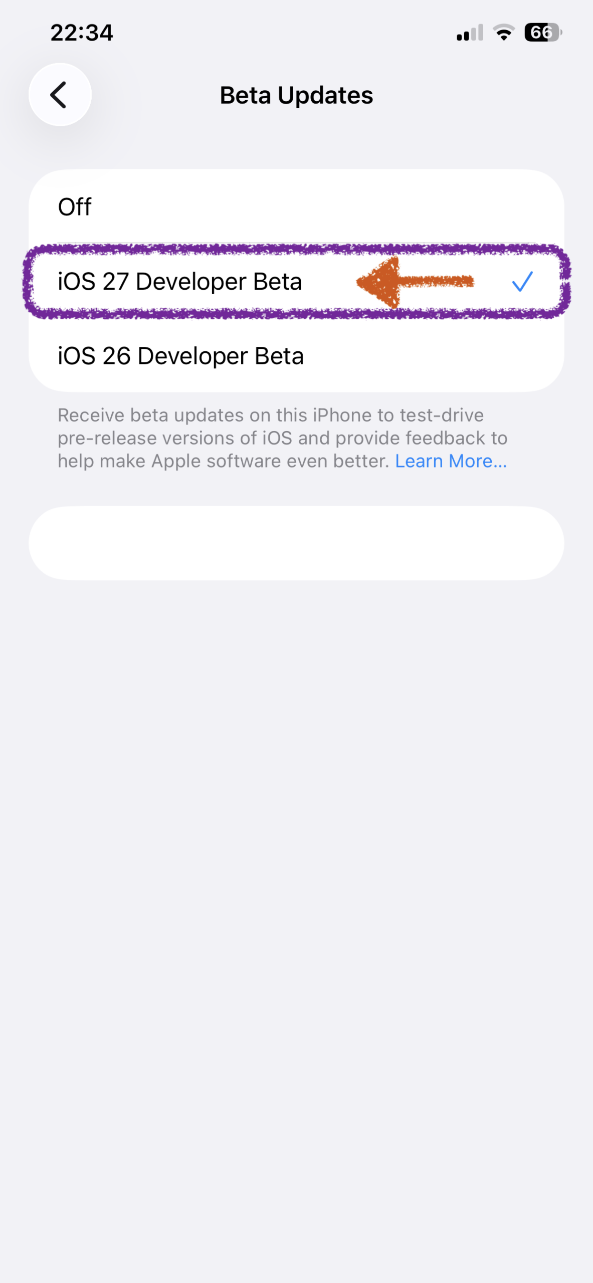 Select iOS 27 Developer Beta on iPhone
